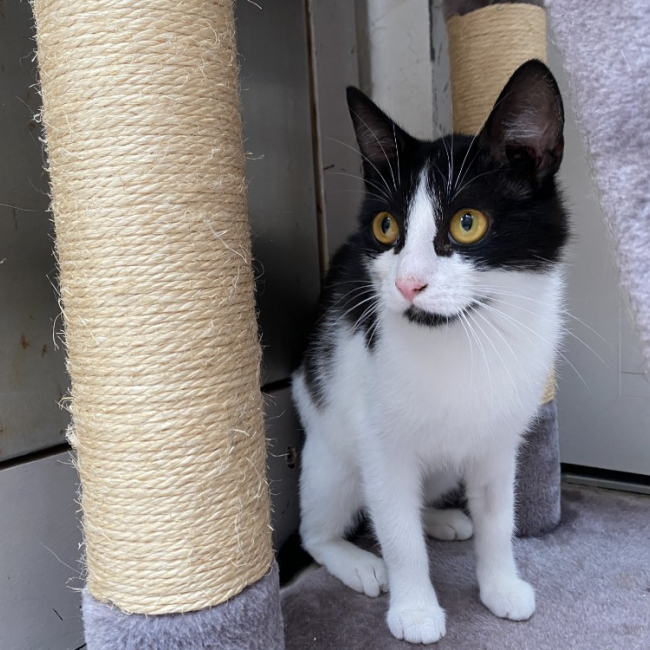 Photo de Lala