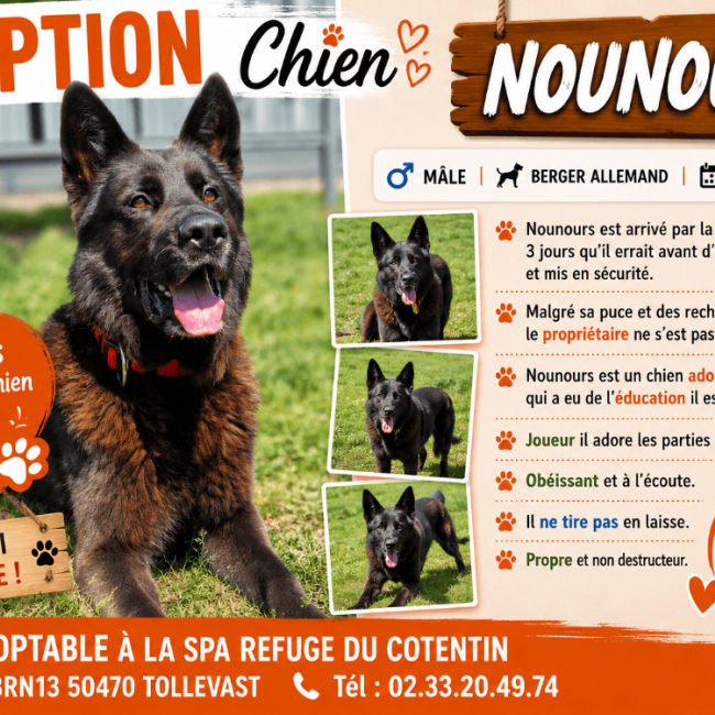 Photo de Nounours