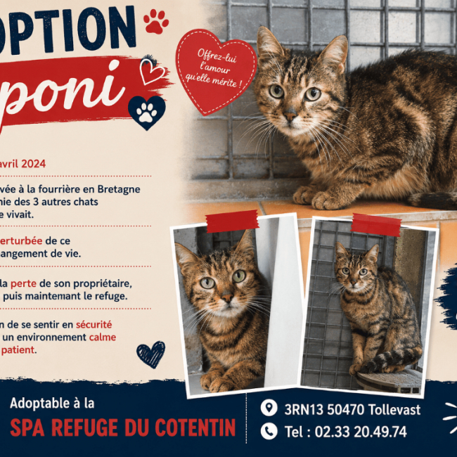 Aponi