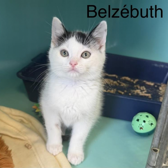 Belzébuth