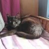 LOUNA