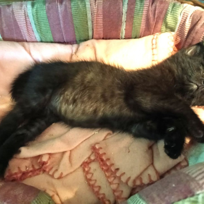 Photo de BILBO