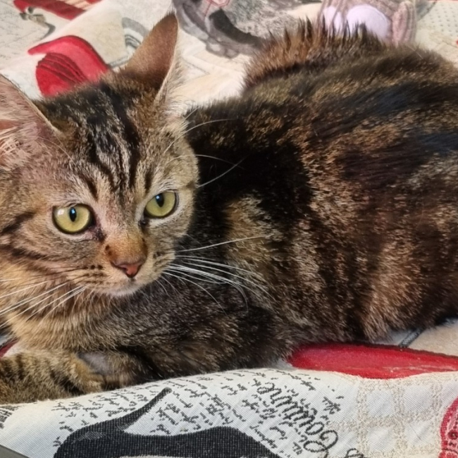 Photo de Kira