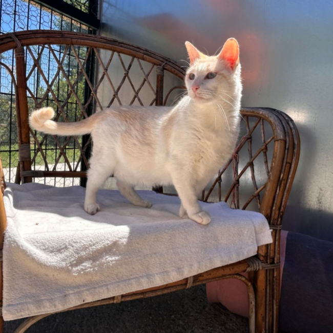 Photo de Caramel