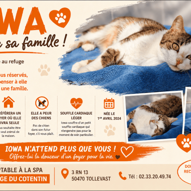 Photo de Iowa