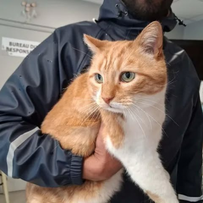 Charou