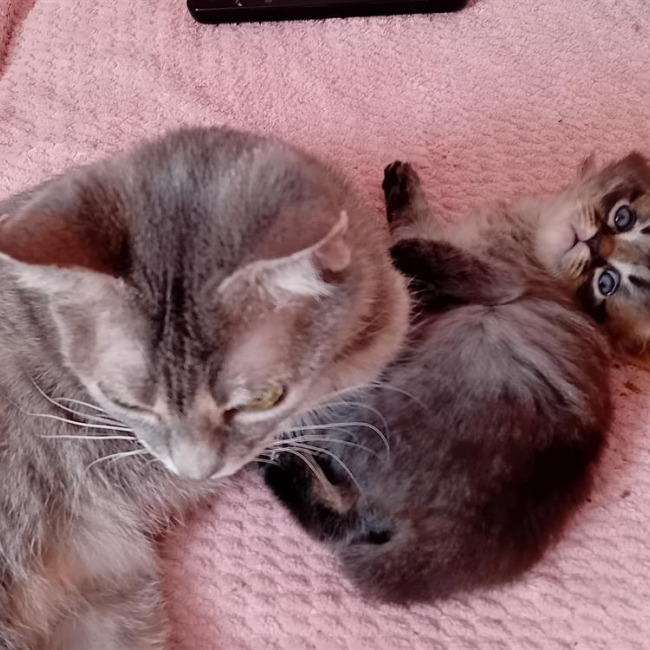 Photo de Prosecco