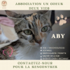 ABY
