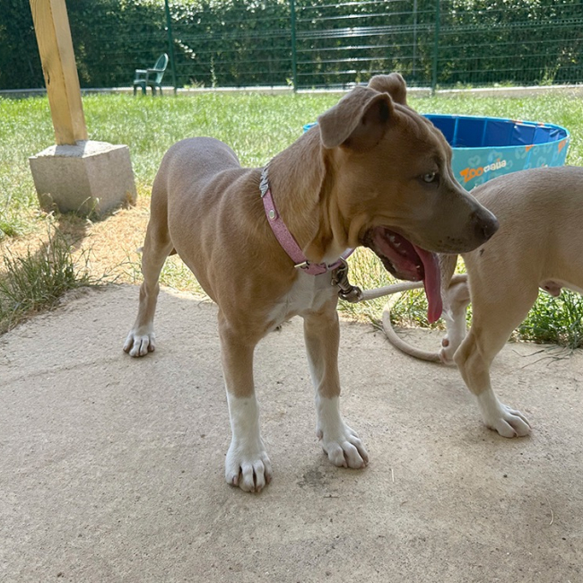 Photo de Luna