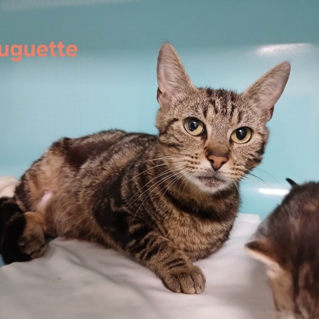 Photo de Huguette