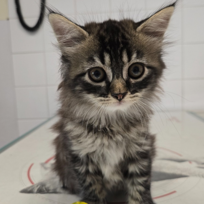 Photo de Bubulle