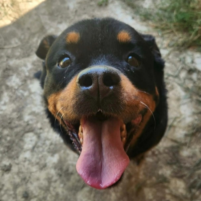 Photo de Kiara