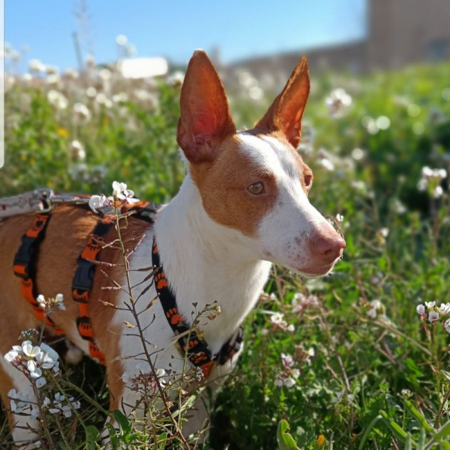 Photo de MIA