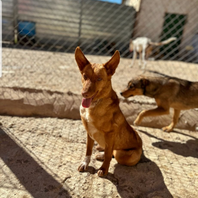 Photo de SILVITA