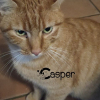 CASPER