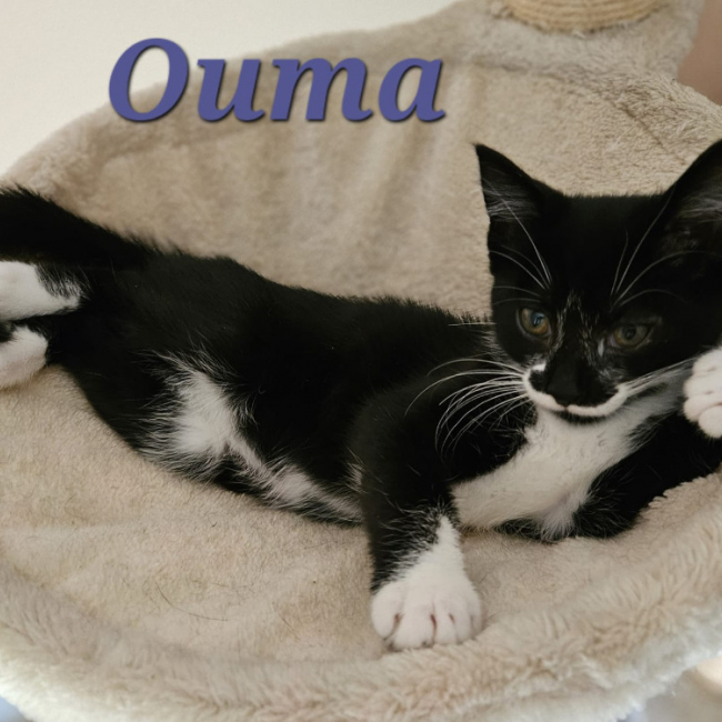 Ouma