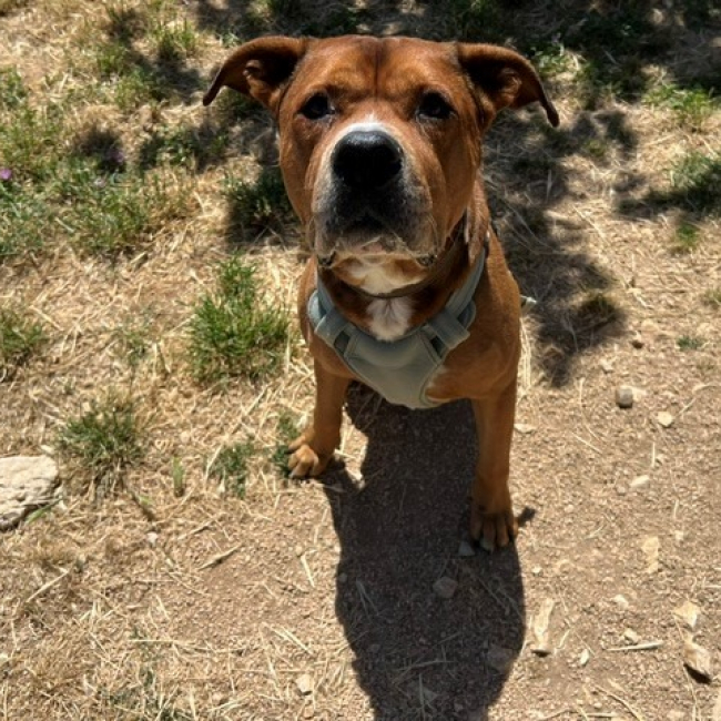 Photo de Max