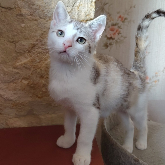 Photo de Candy