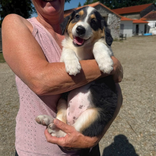 Photo de Brunelle