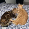 NALA & CARAMEL