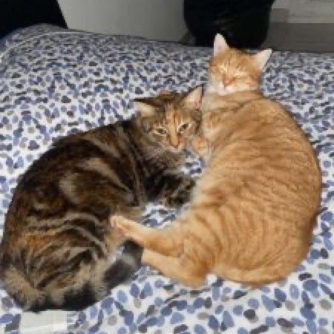 Photo de NALA & CARAMEL