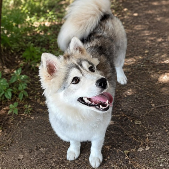 Photo de Haru