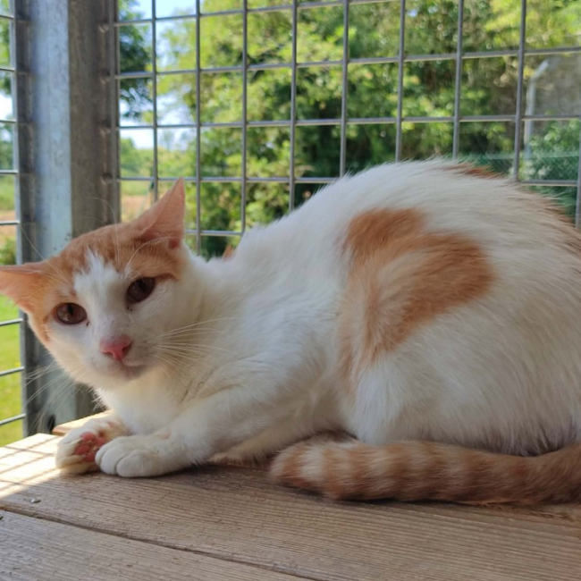Photo de Chavroux