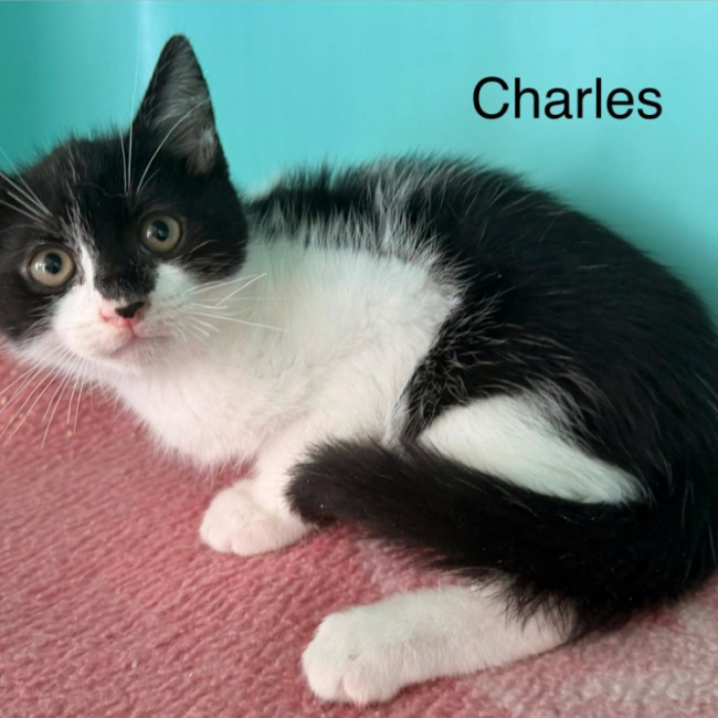Photo de Charles