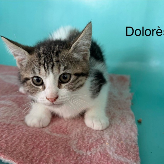Photo de Dolores