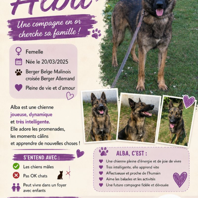Photo de Alba