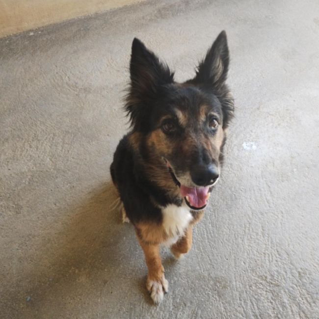 Photo de Xena