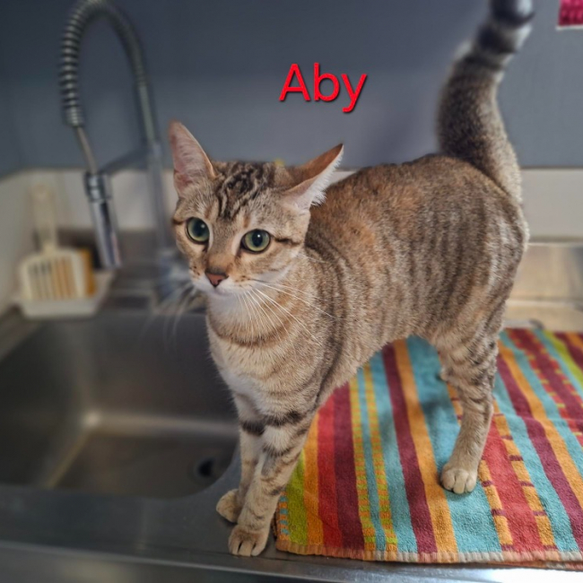 Photo de Aby