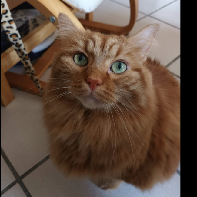 Photo de Mamamia