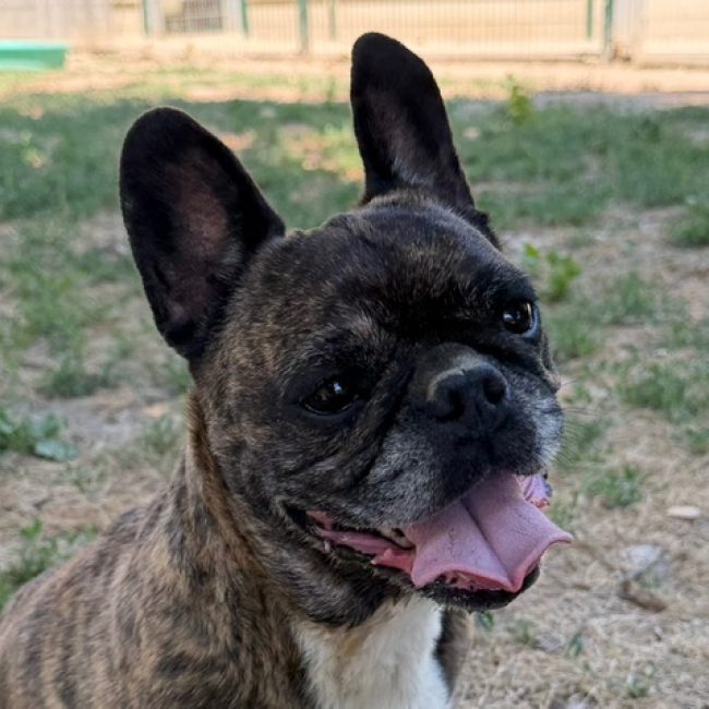 Photo de Nala