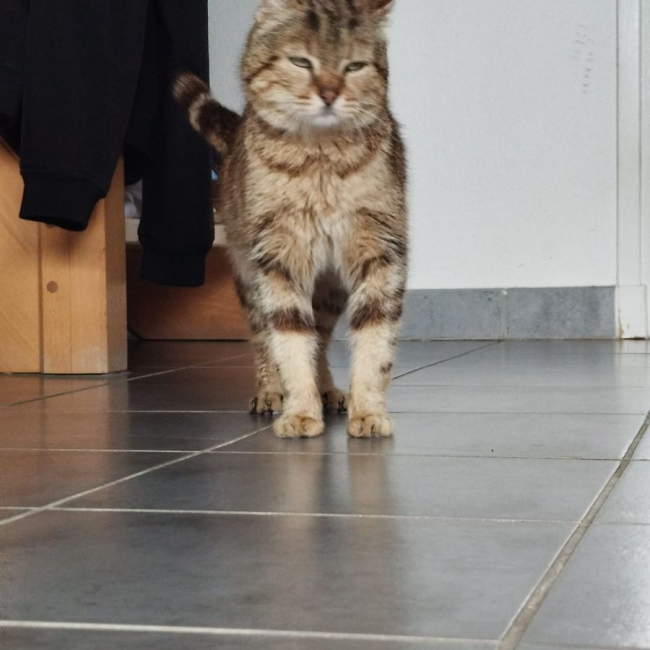 Bijou