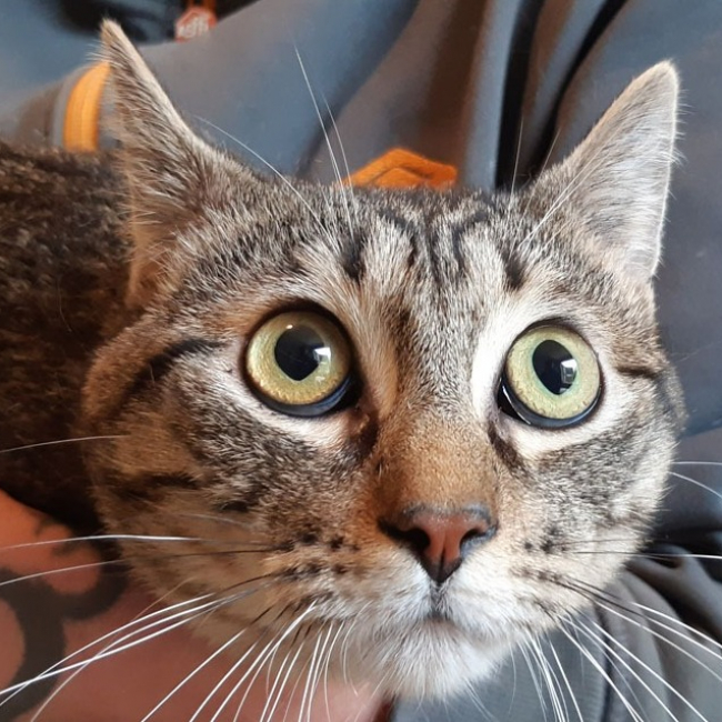 Photo de Féfé