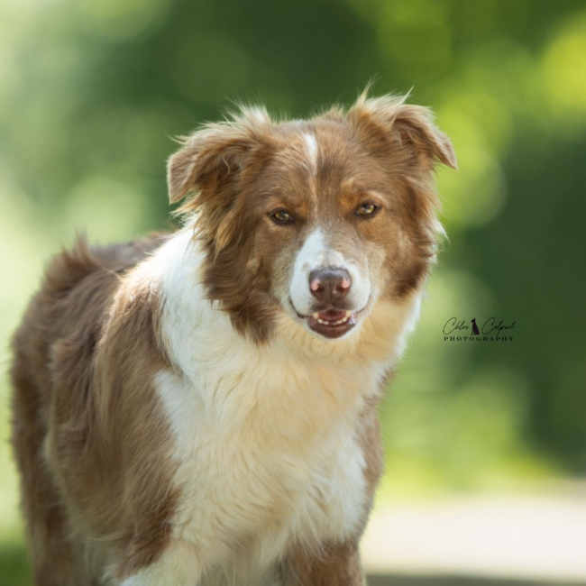 Photo de Glue