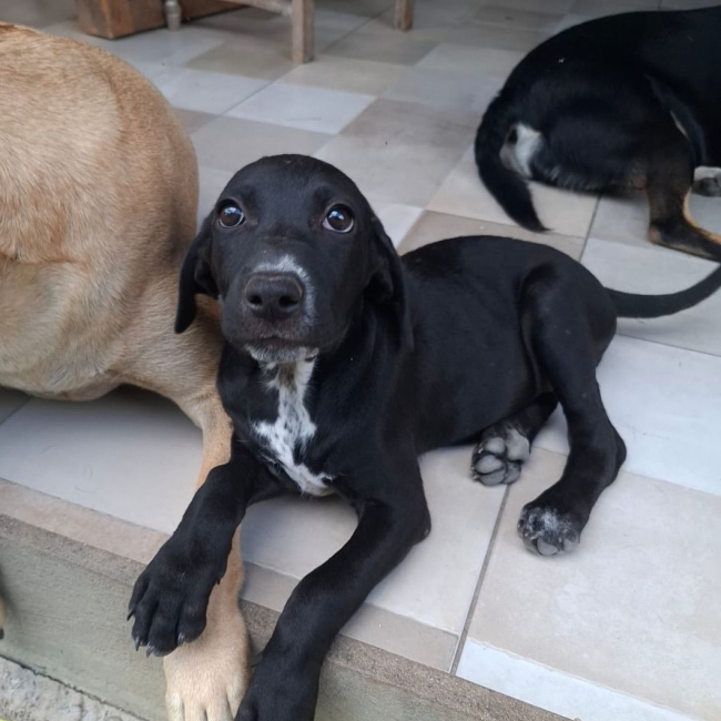 Photo de NÉRA