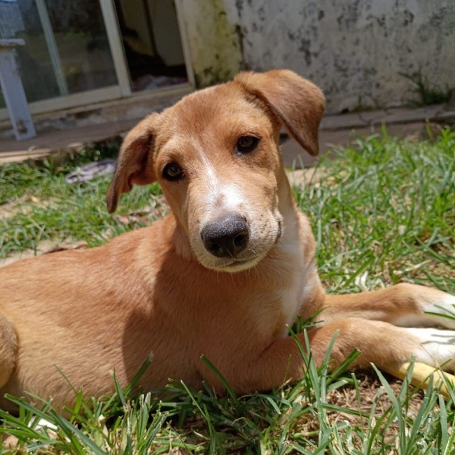 Photo de NILO