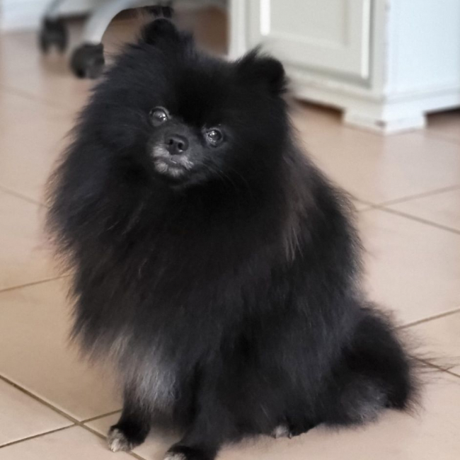 Photo de TRÉSOR