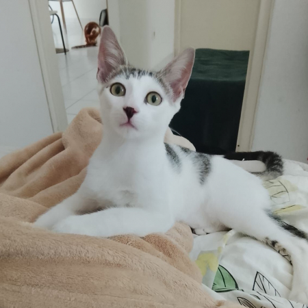 Photo de TWIX