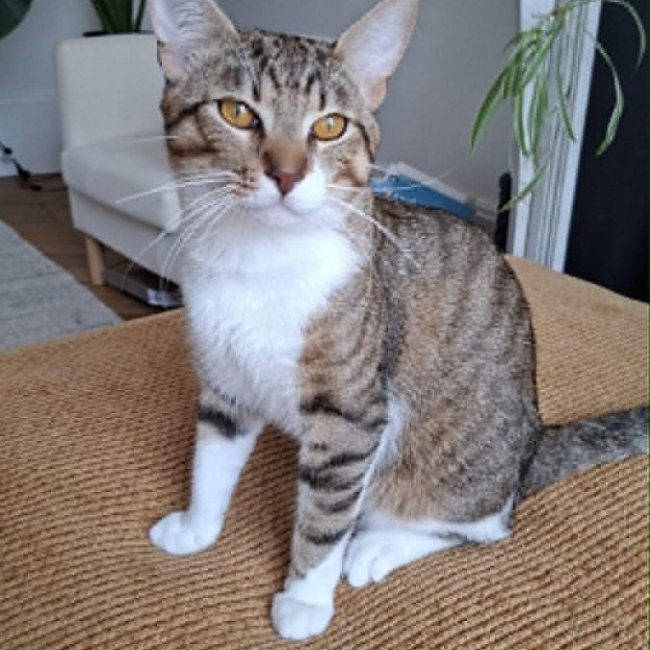 Photo de Teddy