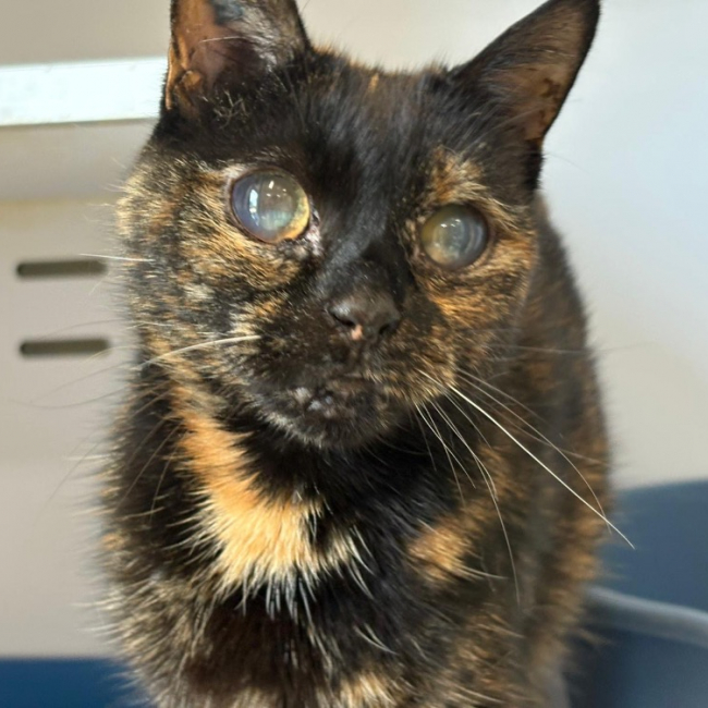 Photo de Poupoune
