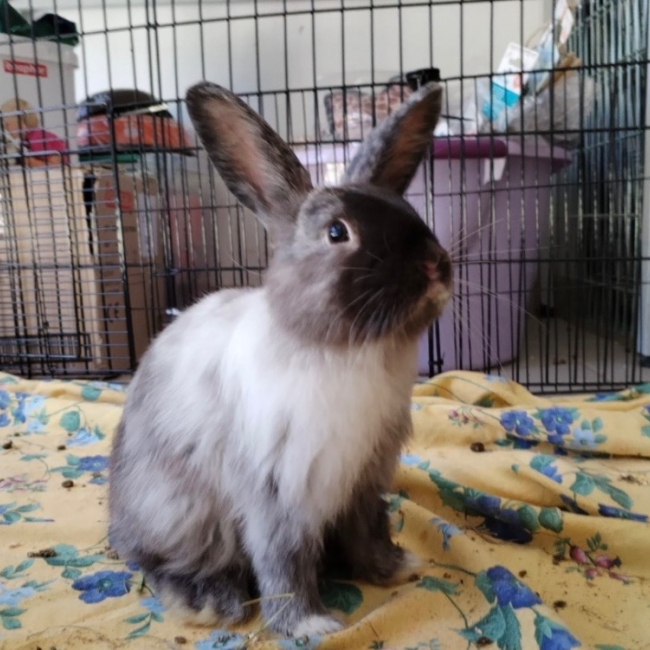 Photo de Roger