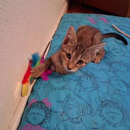 Photo de BOUNTY
