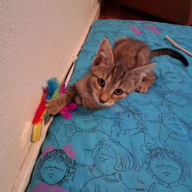 Photo de BOUNTY