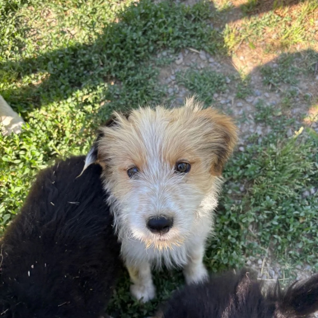Photo de Lala