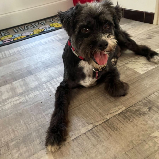 COCO