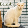Barnaby