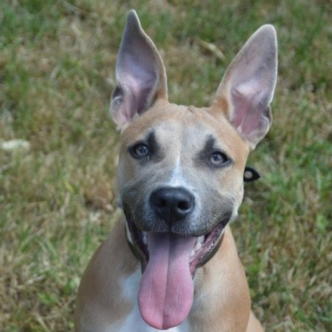 Photo de Lola